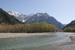 䍂A